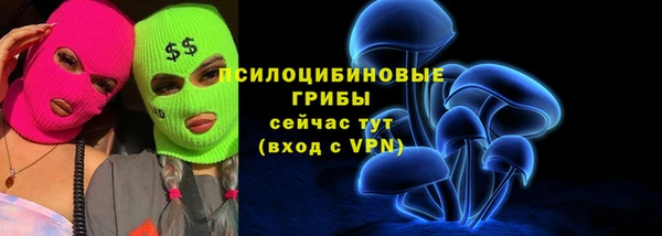 mdma Новодвинск