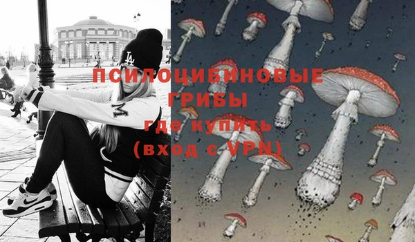 мяу мяу мука Новокубанск