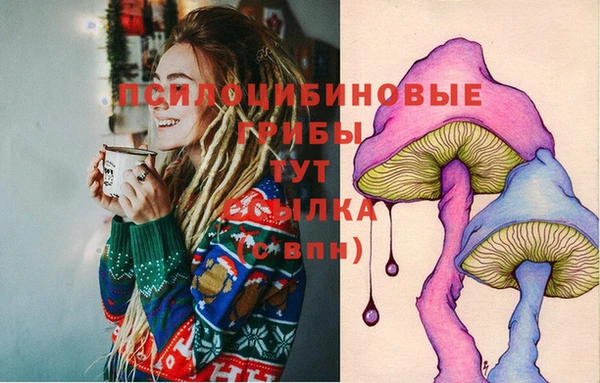 мяу мяу мука Новокубанск