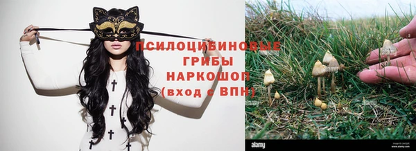 mdma Новодвинск