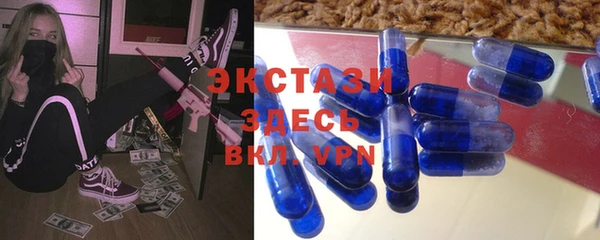 spice Болотное