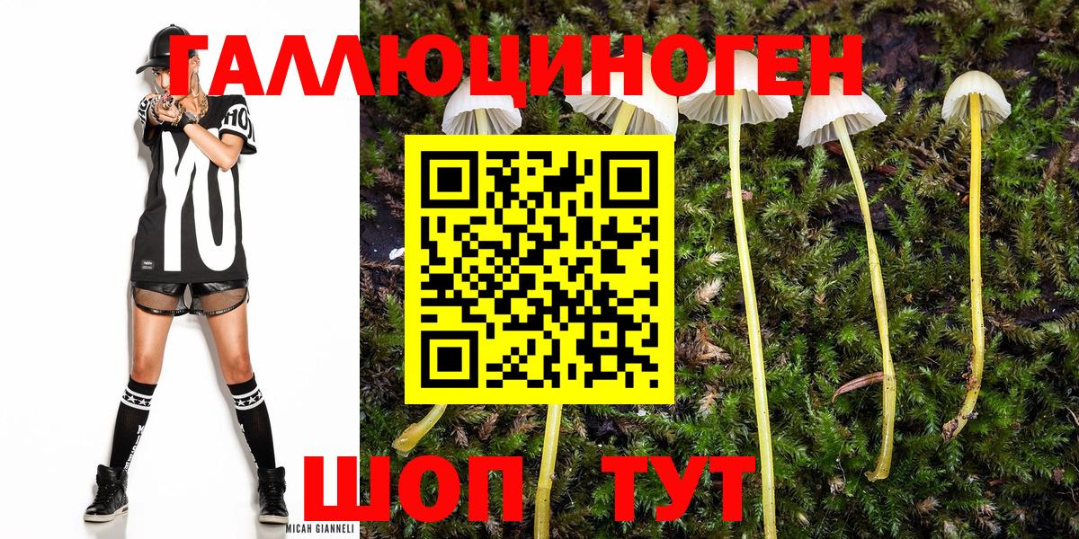 Псилоцибиновые грибы MAGIC MUSHROOMS  Кинешма  Галлюциногенные грибы Psilocybine cubensis 