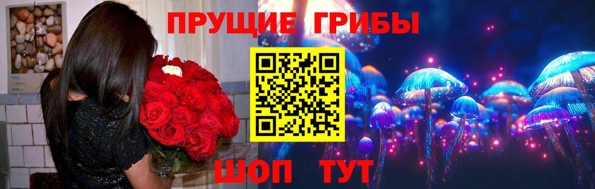 Галлюциногенные грибы Magic Shrooms  продажа наркотиков  Кинешма  Вход с VPN 