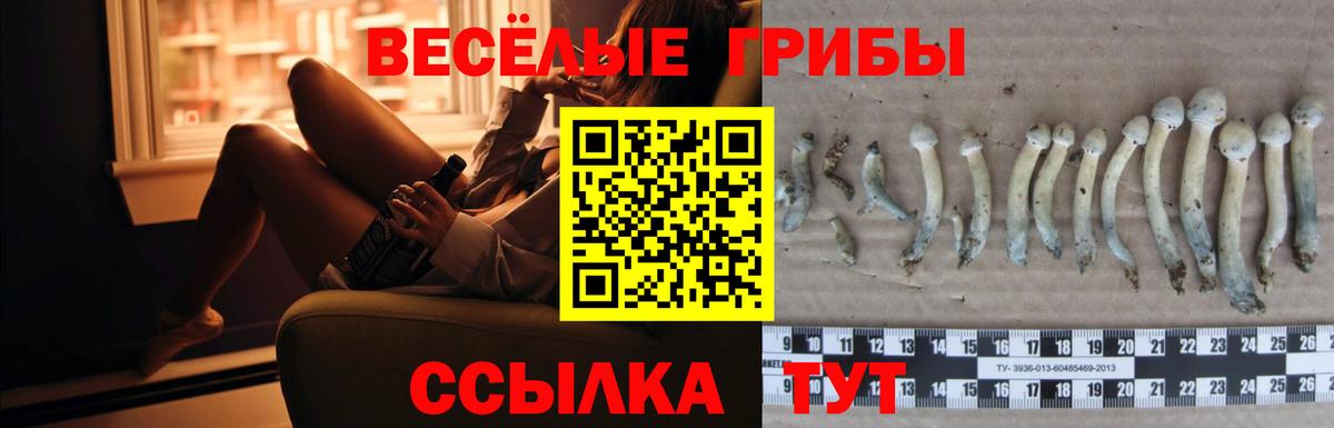 Псилоцибиновые грибы MAGIC MUSHROOMS Кинешма