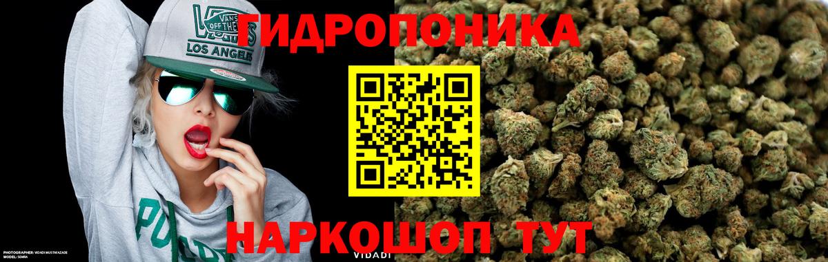 Марихуана White Widow  Вход с VPN  Кинешма  Канабис VHQ  Каннабис White Widow 